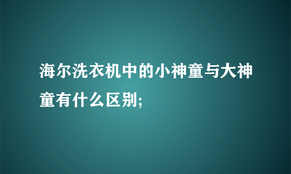 海尔洗衣机中的小神童与大神童有什么区别;