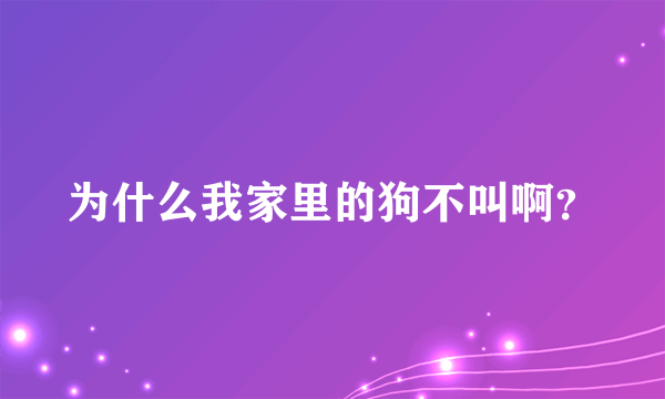 为什么我家里的狗不叫啊？