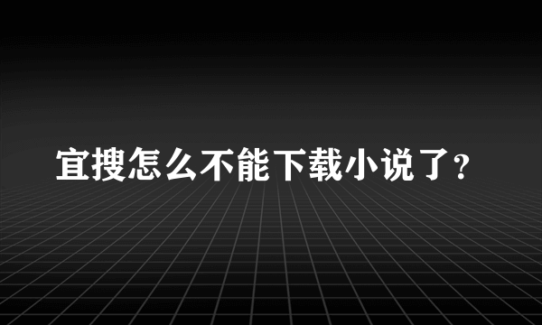 宜搜怎么不能下载小说了？