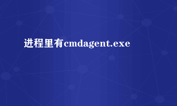 进程里有cmdagent.exe