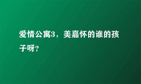 爱情公寓3，美嘉怀的谁的孩子呀？