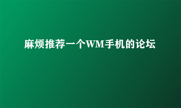 麻烦推荐一个WM手机的论坛