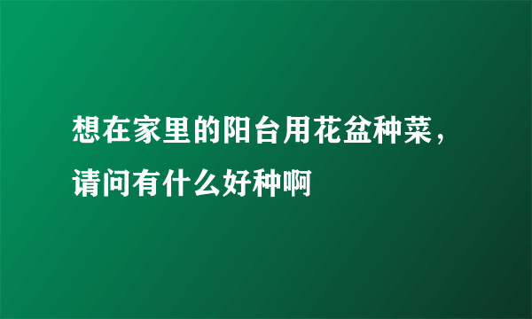 想在家里的阳台用花盆种菜，请问有什么好种啊