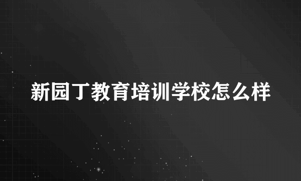 新园丁教育培训学校怎么样