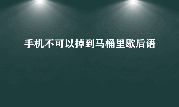 手机不可以掉到马桶里歇后语