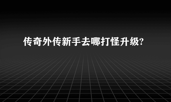 传奇外传新手去哪打怪升级?