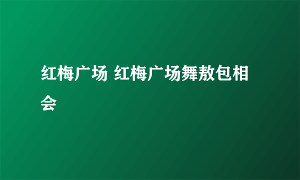 红梅广场 红梅广场舞敖包相会