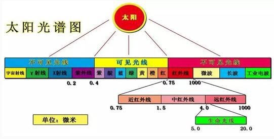 什么灯没有光正确答案是什么？