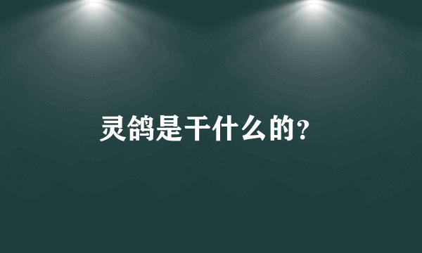 灵鸽是干什么的？