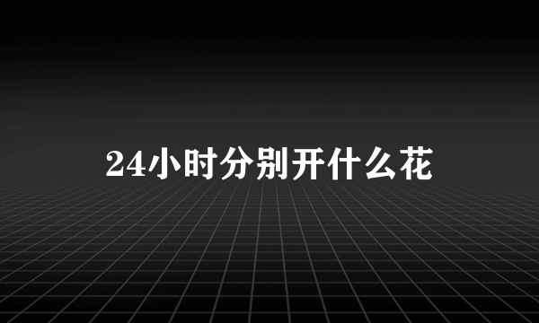 24小时分别开什么花