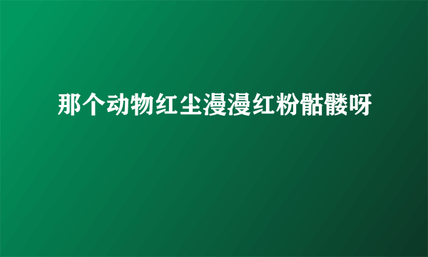 那个动物红尘漫漫红粉骷髅呀