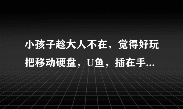 小孩子趁大人不在，觉得好玩把移动硬盘，U鱼，插在手机充电宝，手机充电器上，会损坏么？