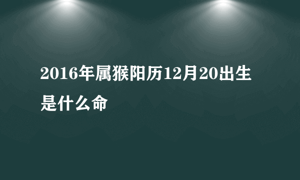 2016年属猴阳历12月20出生是什么命