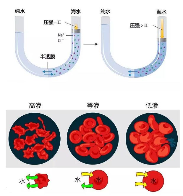 什么叫渗透压？