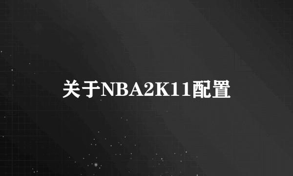 关于NBA2K11配置