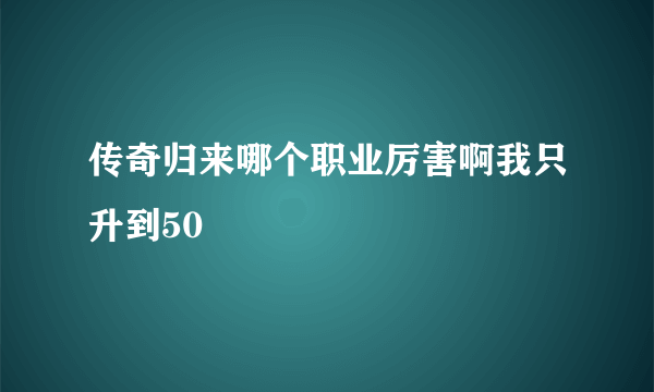 传奇归来哪个职业厉害啊我只升到50