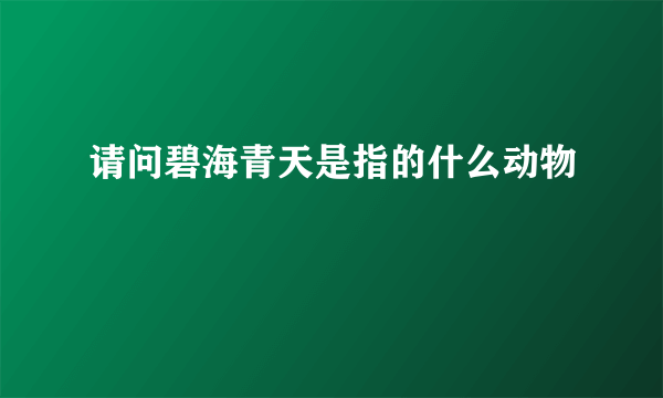 请问碧海青天是指的什么动物