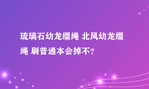 琉璃石幼龙缰绳 北风幼龙缰绳 刷普通本会掉不？