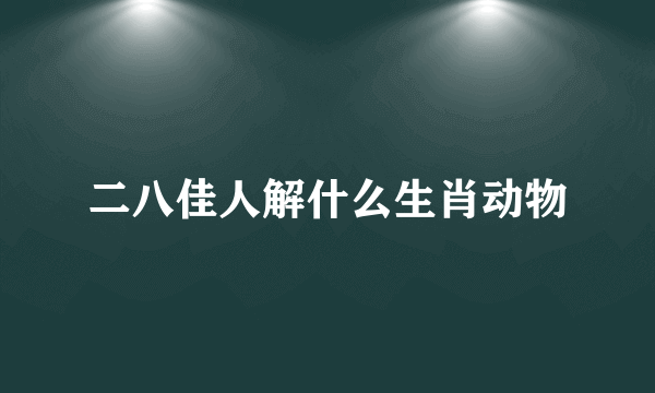 二八佳人解什么生肖动物