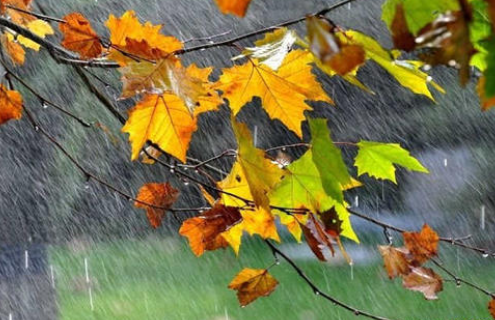 秋天的雨，是一把钥匙(仿写比喻句〉