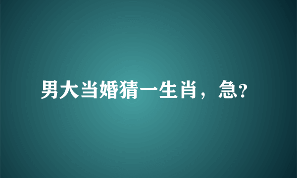 男大当婚猜一生肖，急？