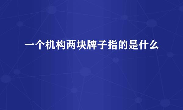 一个机构两块牌子指的是什么