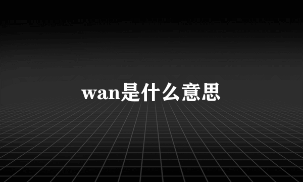 wan是什么意思