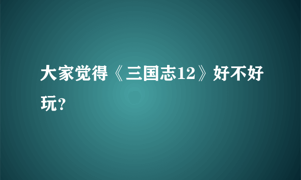 大家觉得《三国志12》好不好玩？