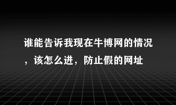 谁能告诉我现在牛博网的情况，该怎么进，防止假的网址