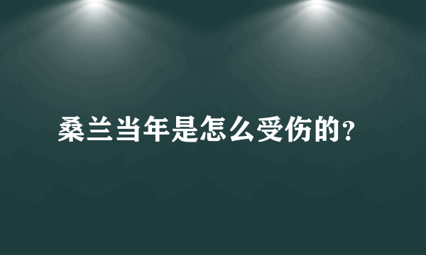 桑兰当年是怎么受伤的？