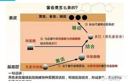 脸上的色斑是怎么长出来的？