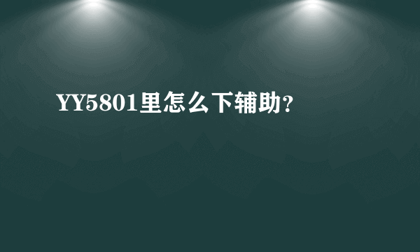 YY5801里怎么下辅助？