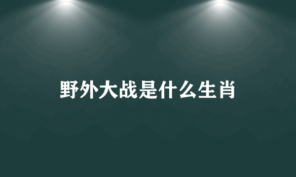 野外大战是什么生肖