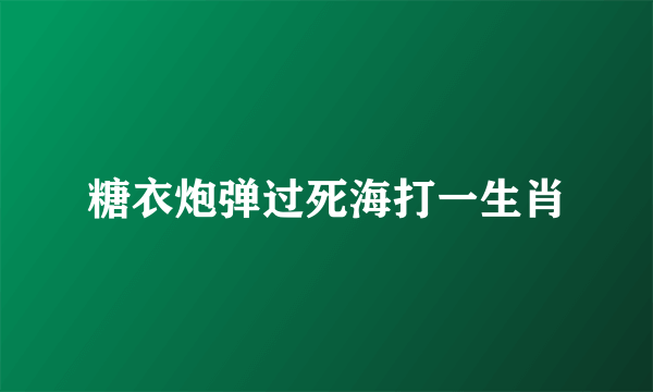 糖衣炮弹过死海打一生肖