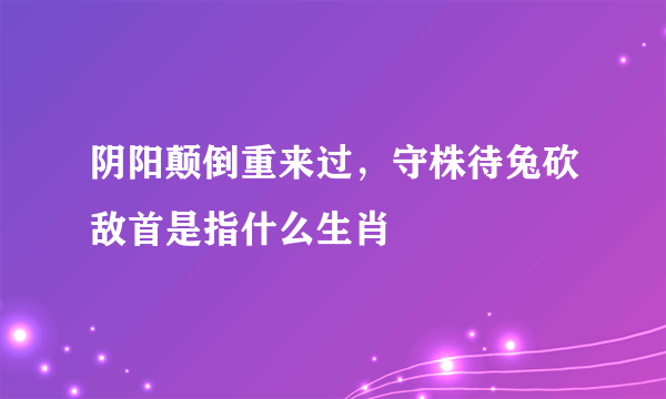 阴阳颠倒重来过，守株待兔砍敌首是指什么生肖