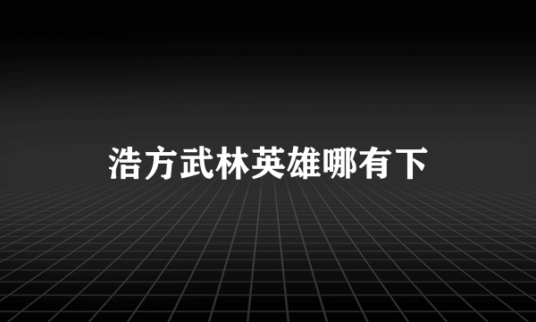 浩方武林英雄哪有下