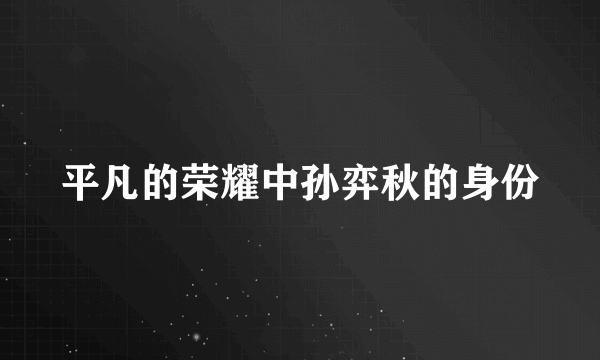 平凡的荣耀中孙弈秋的身份