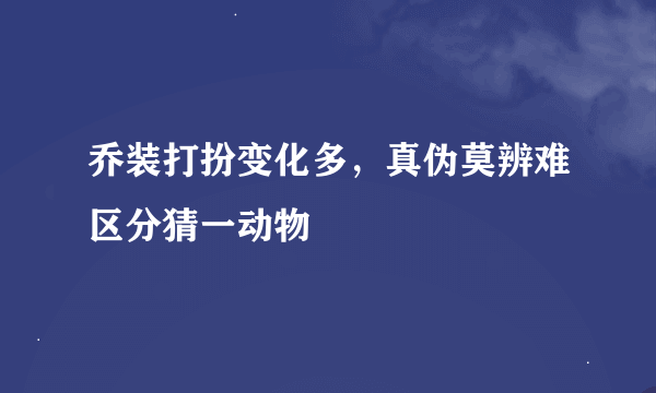 乔装打扮变化多，真伪莫辨难区分猜一动物