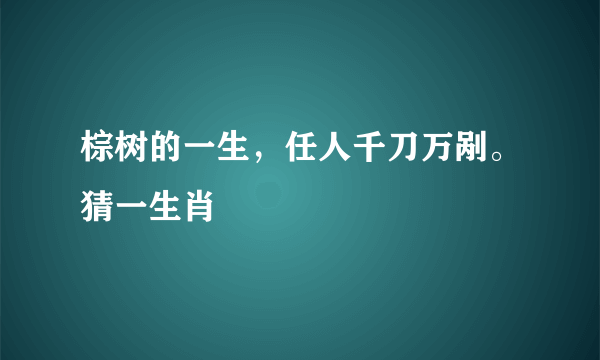 棕树的一生，任人千刀万剐。猜一生肖