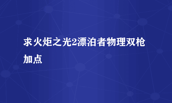 求火炬之光2漂泊者物理双枪加点