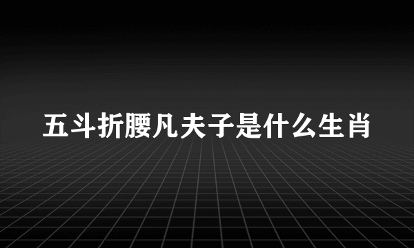 五斗折腰凡夫子是什么生肖