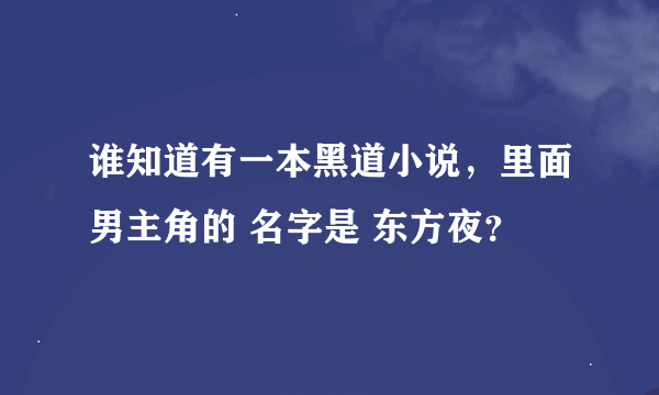 谁知道有一本黑道小说，里面男主角的 名字是 东方夜？