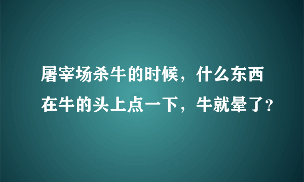 屠宰场杀牛的时候，什么东西在牛的头上点一下，牛就晕了？