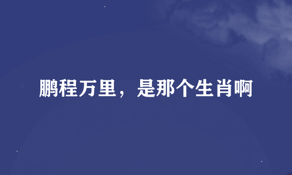 鹏程万里，是那个生肖啊