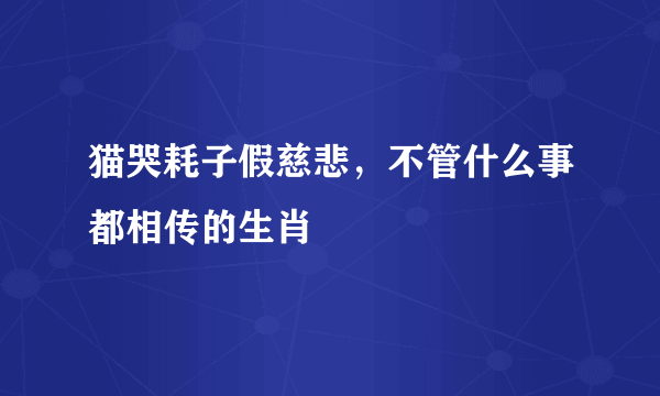 猫哭耗子假慈悲，不管什么事都相传的生肖