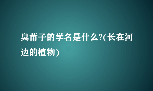 臭莆子的学名是什么?(长在河边的植物)