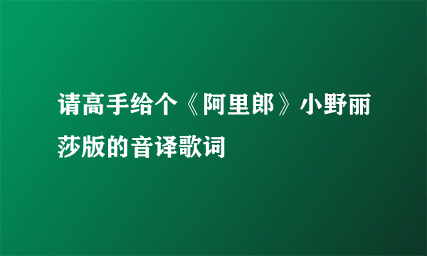 请高手给个《阿里郎》小野丽莎版的音译歌词