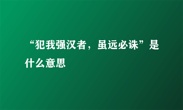 “犯我强汉者，虽远必诛”是什么意思