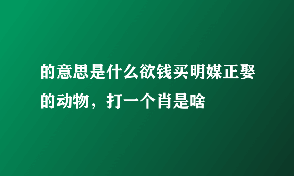 的意思是什么欲钱买明媒正娶的动物，打一个肖是啥