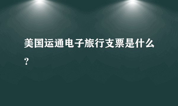 美国运通电子旅行支票是什么？